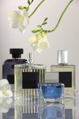 Ayna yüzeyinde açık gri arka planda lüks parfümler ve frezya çiçekleri. Çiçek kokusu.