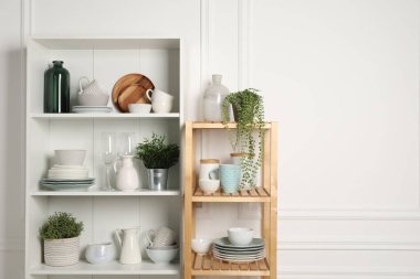 Farklı temiz bulaşık takımları ve dolaptaki raflarda bulunan ev bitkileri. Metin için boşluk