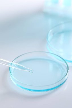 Beyaz arka planda pipetten petri kabına sıvı damlatıyor, yakın plan. Laboratuvar analizi