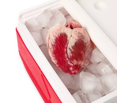 Buz kaplı kalp beyaz arka planda serin bir kutuda
