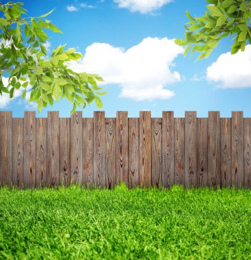 Tahta çitler, ağaçlar ve dışarıda yeşil çimenler.