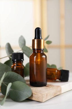 Aromaterapi. Beyaz masada gerekli yağ ve okaliptüs yaprakları.