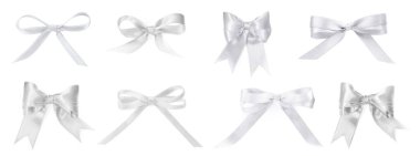 Güzel beyaz fiyonklar beyaz üzerine izole edilmiş, set