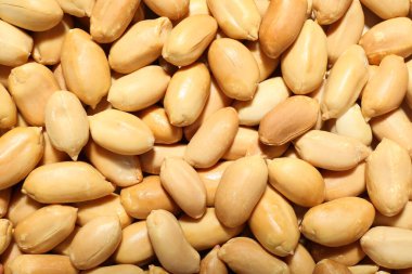 Arka plan olarak taze kabuklu fıstıklar, üst görünüm