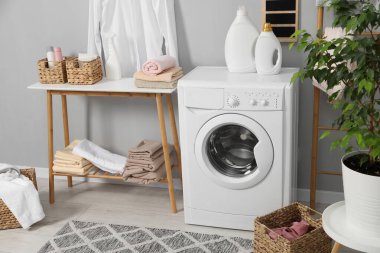 Çamaşır makinesi, depolama tezgahı, deterjanlar, çamaşırhane ve ev bitkisi