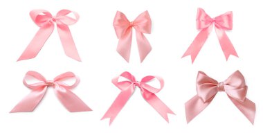 Güzel pembe fiyonklar beyaz sette izole edilmiş.