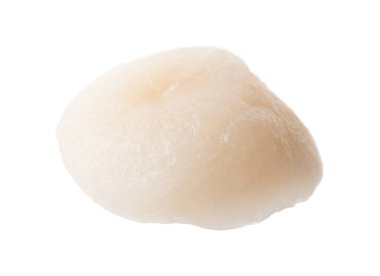 Bir taze çiğ deniz tarağı beyaza izole edilmiş.