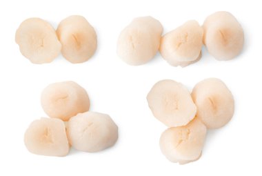 Taze deniz tarakları beyaz üzerine izole edilmiş. Deniz ürünleri.