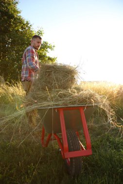 # Çiftçi el arabası ile çalışıyor # # Dışarıda biçilmiş çimlerle dolu #