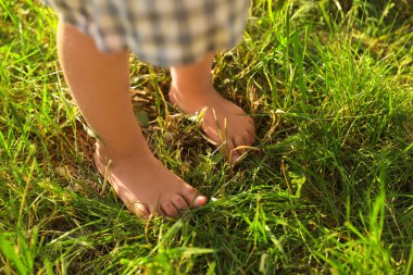 Yeşil çimenlerde çıplak ayakla yürüyen çocuk, yakın plan.