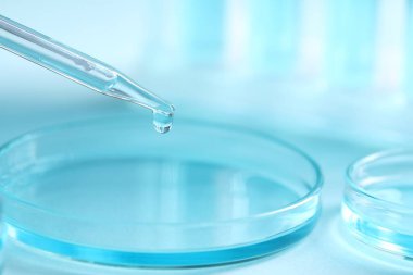 Pipetten petri kabına sıvı damlatıyor. Arka planda bulanık, yakın plan. Laboratuvar analizi