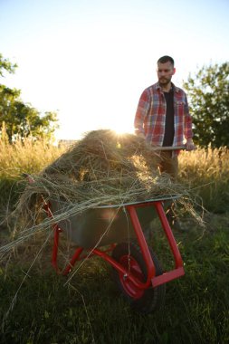 # Çiftçi el arabası ile çalışıyor # # Dışarıda biçilmiş çimlerle dolu #