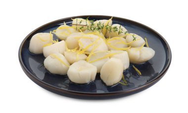 Kekik ve limon aromalı çiğ deniz tarakları beyaza izole edilmiş.