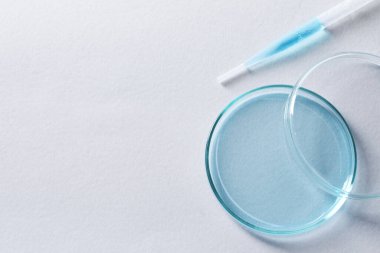 Pipet ve petri kabını beyaz arka plana aktarın. Metin için boşluk