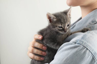 Woman with cute fluffy kitten on grey background, closeup. Space for text
