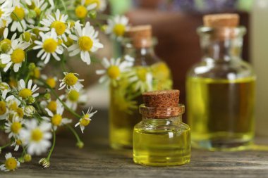 Güzel papatya çiçekleri ve ahşap masada gerekli yağlar, yakın plan.