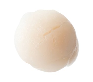 Bir taze çiğ deniz tarağı beyaza izole edilmiş.