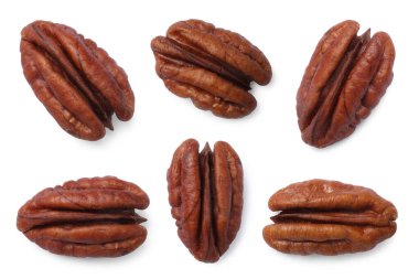 Pekçok ceviz beyaz üzerine izole edilmiş, set