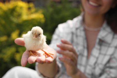 Woman with cute chick outdoors, selective focus