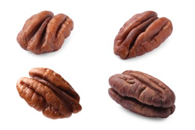 Pekçok ceviz beyaz üzerine izole edilmiş, set