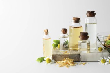 Aromaterapi. Beyaz arkaplanda farklı temel yağlar, kuru çiçekler, papatyalar ve köknar dalları, metin için boşluk
