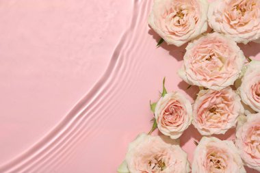 Pembe arka planda suda güzel gül çiçekleri, üst manzara. Metin için boşluk