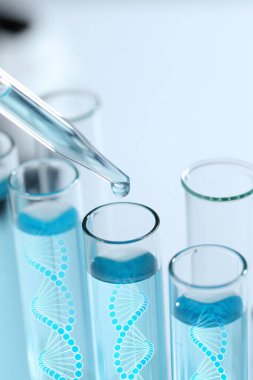 Laboratuvarda DNA örnekleriyle test tüpleri, yakın plan.