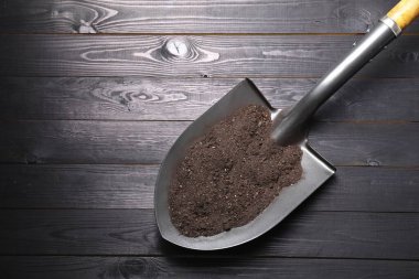 Siyah ahşap masa üzerinde toprak olan metal kürek, üst manzara.