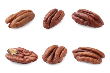 Pekçok ceviz beyaz üzerine izole edilmiş, set