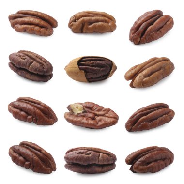 Pekçok ceviz beyaz üzerine izole edilmiş, set