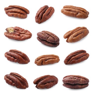 Pekçok ceviz beyaz üzerine izole edilmiş, set