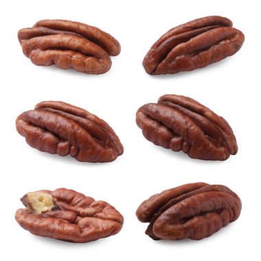 Pekçok ceviz beyaz üzerine izole edilmiş, set