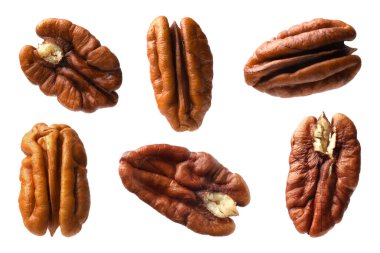 Pekçok ceviz beyaz üzerine izole edilmiş, set