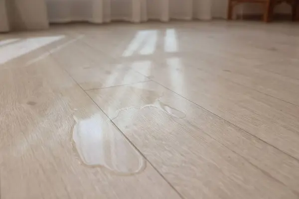 stock image Puddle of liquid on wooden floor indoors, closeup. Space for text