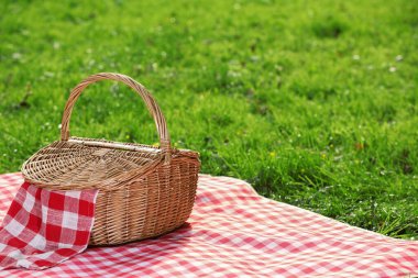 Yeşil çimlerin üzerinde kareli peçete ve battaniyeli bir piknik sepeti. Metin için boşluk
