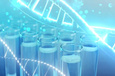 Örnekli DNA ve test tüpleri çizimleri, çifte maruz kalma