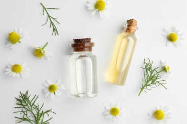 Aromaterapi. Beyaz zemin üzerinde gerekli yağlar ve papatyalar, düz yatıyordu.