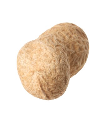 Taze soyulmamış bir fıstık beyazda izole edilmiş.