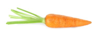 Taze olgun bir havuç beyazda izole edilmiş.