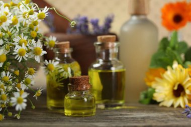 Güzel papatya çiçekleri ve ahşap masada gerekli yağlar, yakın plan.