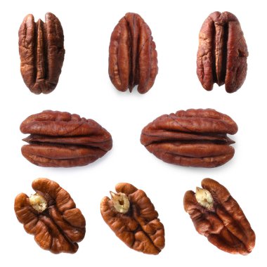 Pekçok ceviz beyaz üzerine izole edilmiş, set