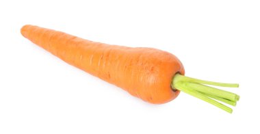 Taze olgun bir havuç beyazda izole edilmiş.