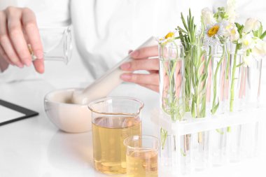 Aromaterapi ürünü. Laboratuvarda beyaz masada gerekli yağları geliştiren bilim adamı, cam eşyalar üzerine yoğunlaşır.