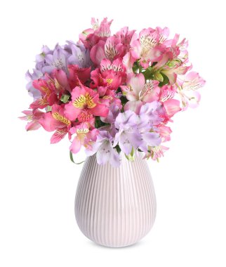 Vazodaki güzel alstroemeria çiçekleri beyaza izole edilmiş.