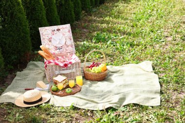 Masa takımlı piknik sepeti, farklı atıştırmalıklar, meyve suyu ve şapka açık havada, mesaj için yer