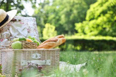 Açık yeşil çimlerde lezzetli yiyeceklerle piknik sepeti, mesaj için yer.