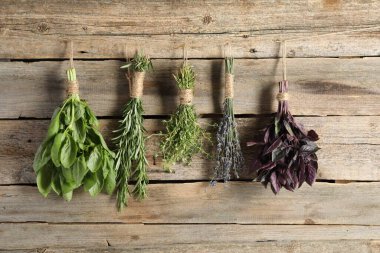 Ahşap duvarın yanında ipte asılı farklı aromatik otlar var.