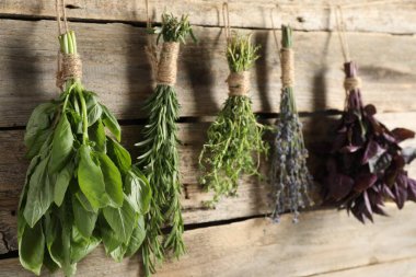 Ahşap duvarın yanında asılı duran farklı aromatik otlar.