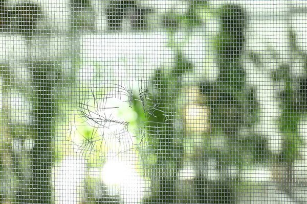 Torn window screen against blurred background, closeup