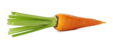 Taze olgun bir havuç beyazda izole edilmiş.